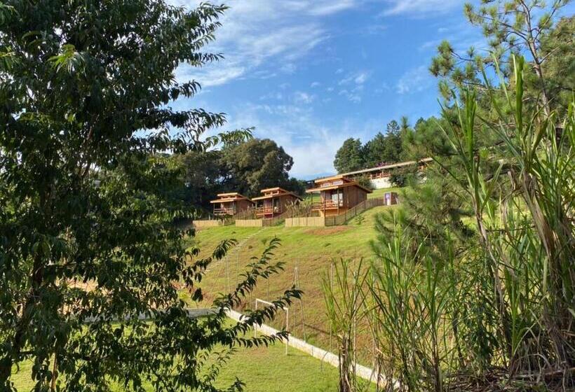 شاليه سوبيريور غرفة نوم واحدة, Pousada Recanto Primavera