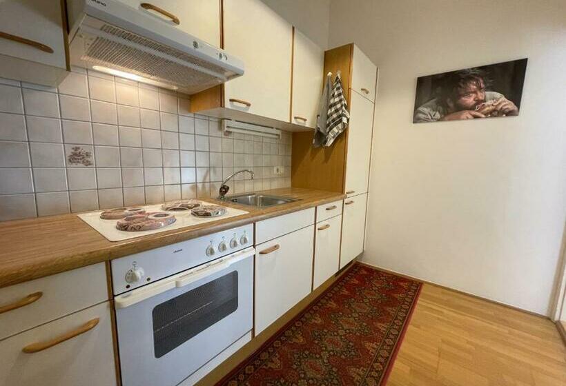 آپارتمان 1 خوابه با بالکن, Gästehaus Gertrude