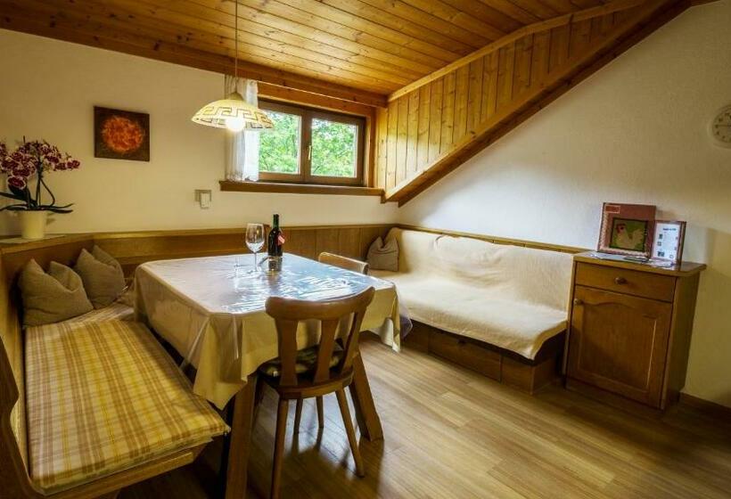 Апартаменты 1 Спальня, Appartments Neuhof