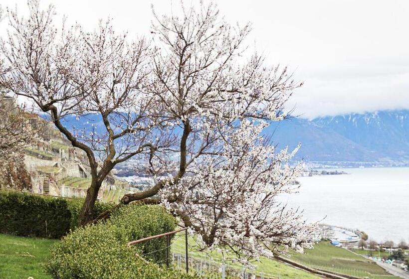 Апартаменты 1 Спальня, Domaine Du Burignon