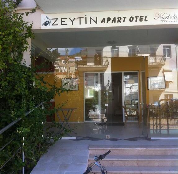 Apartamento 1 Dormitório, Zeytin Apart Otel