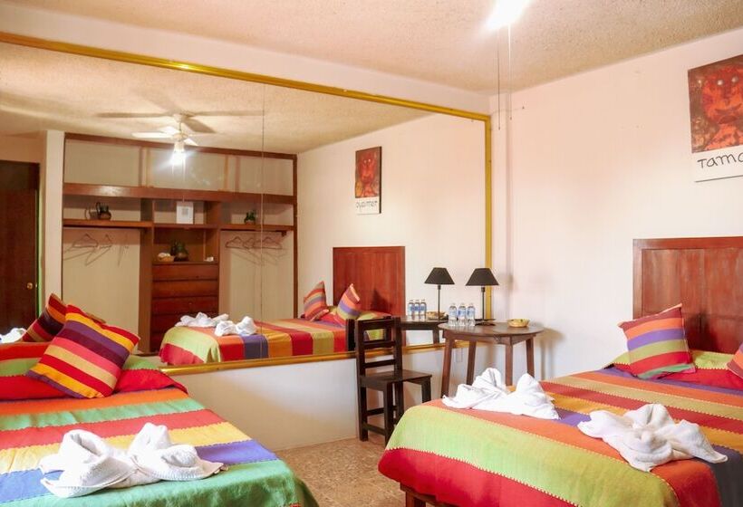 Номер Стандарт, Posada Don Mario