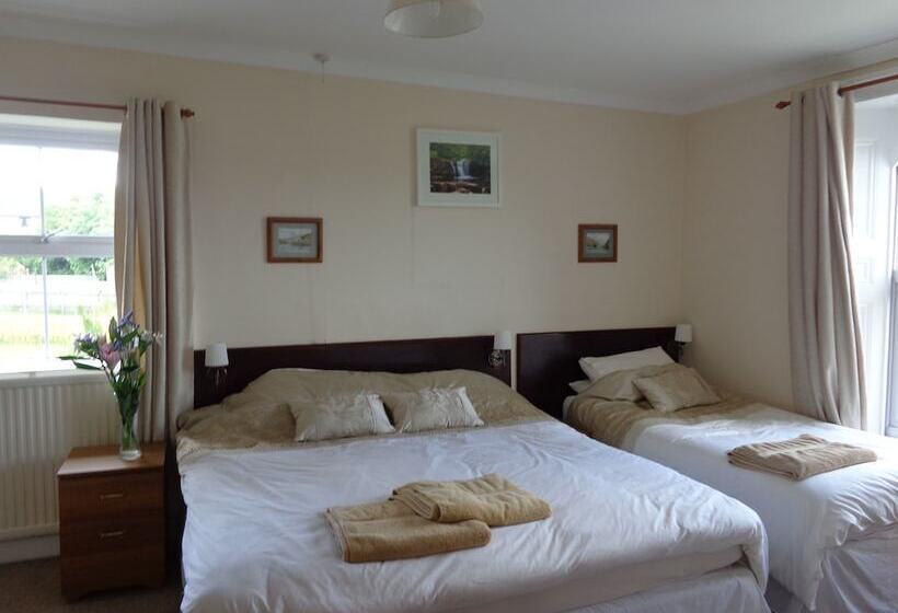 Семейный Номер, Cedars Guesthouse