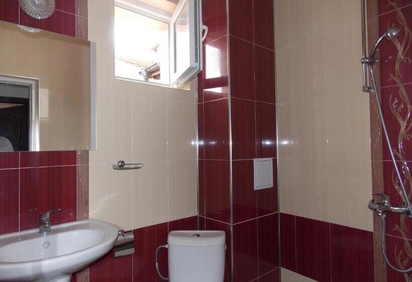 Апартаменты 1 Спальня с Террасой, Guest House Nedelchevi
