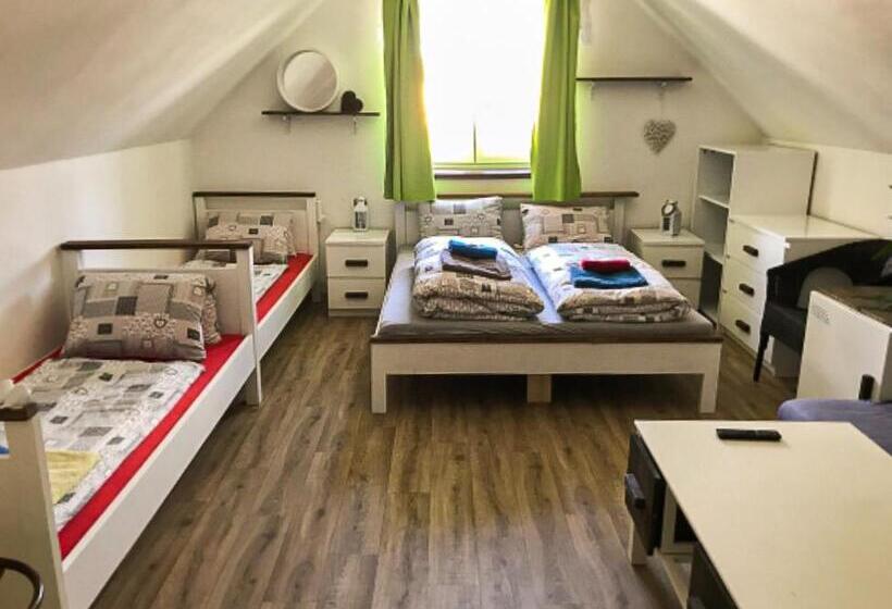 4인용 스탠다드 룸, Penzion Domanín