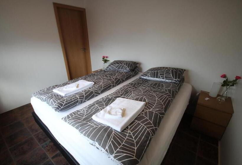 اتاق استاندارد با سرویس بهداشتی مشترک, Hamrahlíð 9 Guesthouse