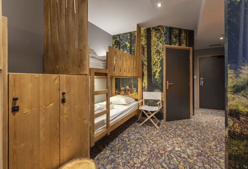 تختخواب در اتاق مشترک, Base Camp Lodge   Bourg Saint Maurice