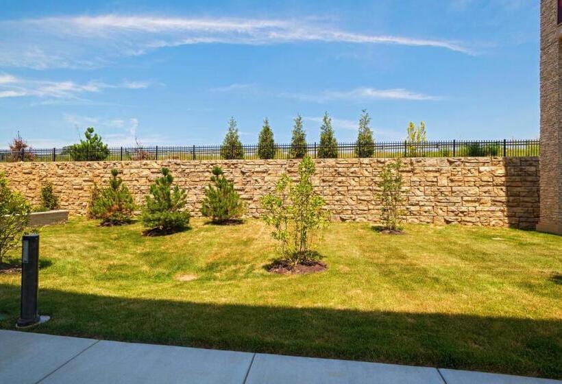 Номер Стандарт Кровать Кинг Адаптированный для Инвалидов, Courtyard St. Louis Brentwood