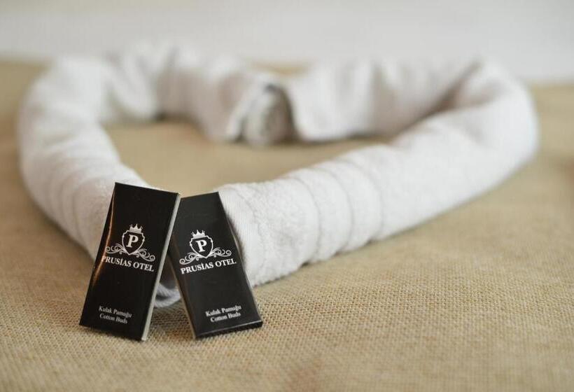 اتاق استاندارد, Prusias Otel