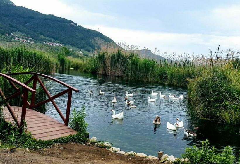 غرفة عائلية, Santo Akyaka