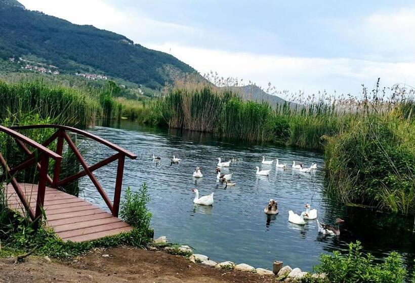 إستوديو قياسى, Santo Akyaka
