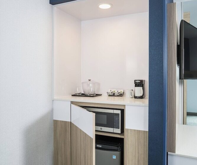 Люкс, Springhill Suites Madison