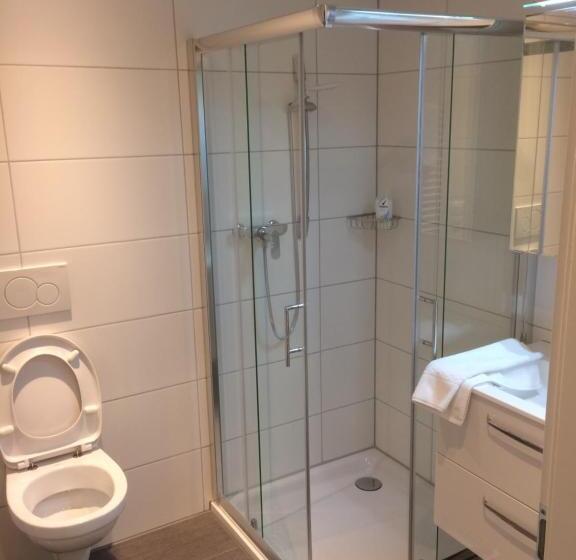 Номер Deluxe, Landgasthof Schwanen