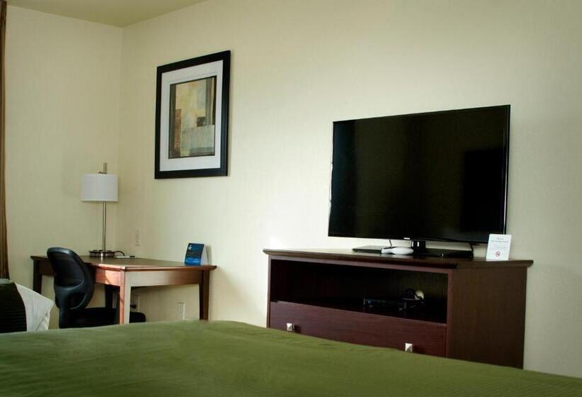 Номер Стандарт, Cobblestone Inn & Suites   Soda Springs