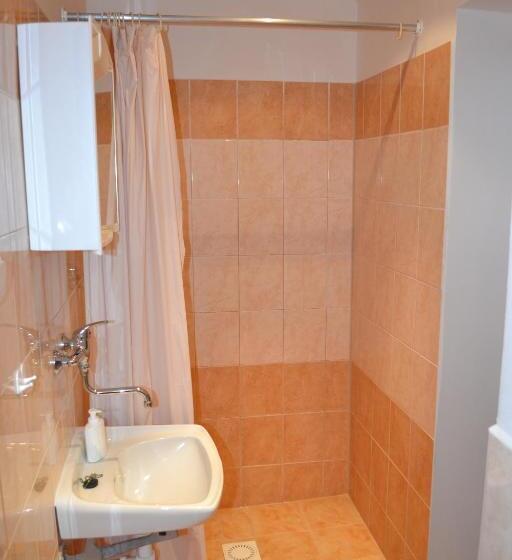Апартаменты 1 Спальня, Hostel U Sv. štěpána