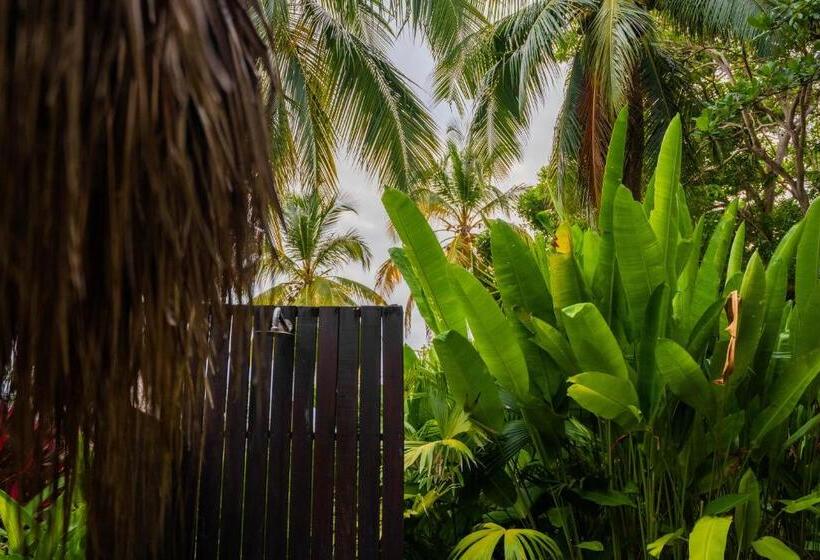 수피리어 트리플 룸, Viajero Tayrona Hostel & Ecohabs
