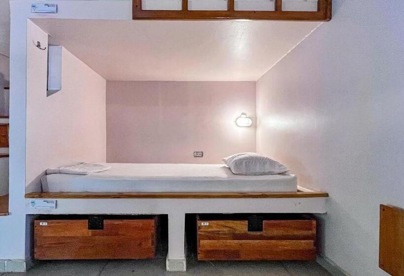 패밀리 룸, Viajero Tayrona Hostel & Ecohabs