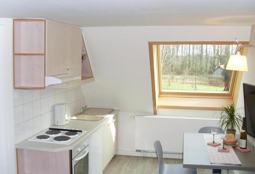 스탠다드 룸 가든 전망, Gîtes Et Chambres D'hôtes Maison Ungerer