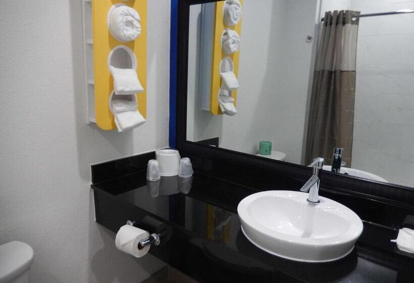 اتاق استاندارد برای معلولان, Motel 6 Houston, Tx   Downtown North