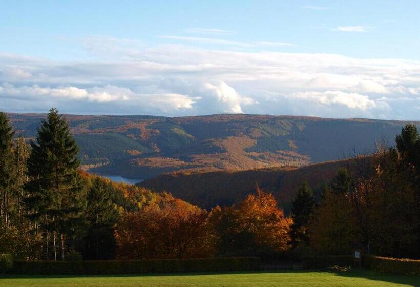 Номер Стандарт с Балконом, Haus Seeblick