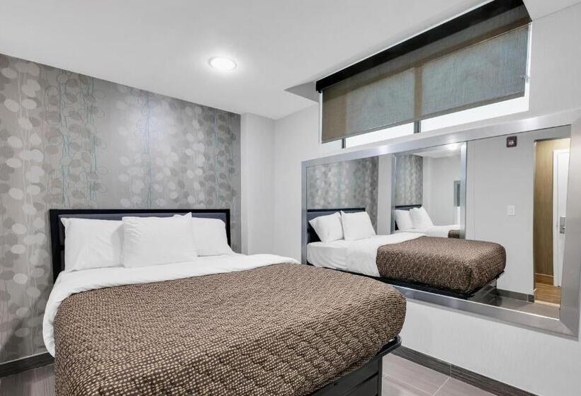 Quarto Estandar Cama King, Mint Jfk Airport