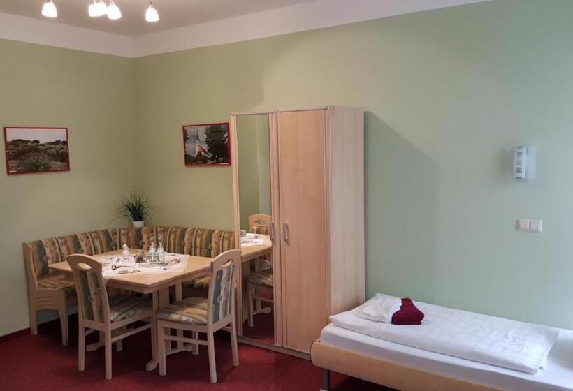 Номер Стандарт, Pension Body Sun