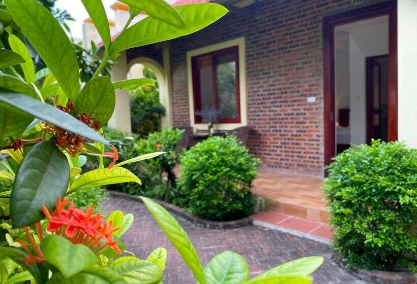 ویلای استاندارد با چشم‌انداز باغ, Tam Coc Golden Sky Homestay