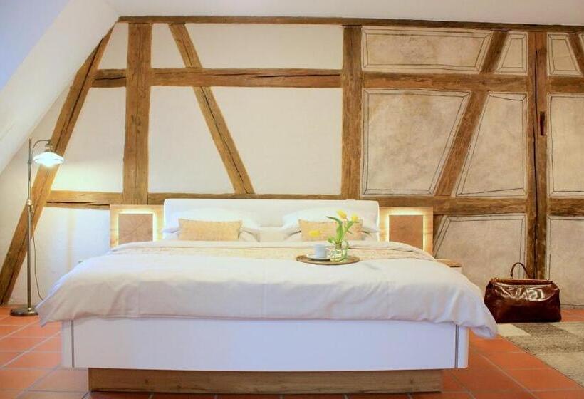 Номер Deluxe, D & S Hotel & Ferienwohnungen