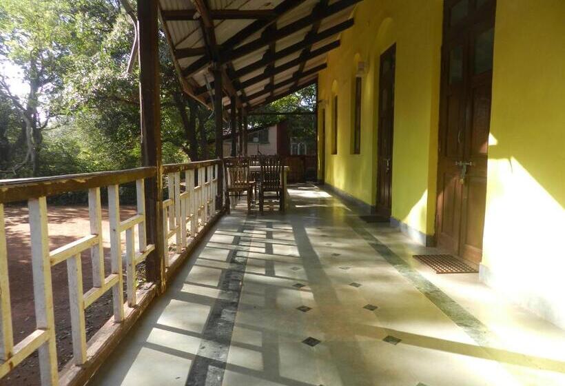 Cabana, Sayeban