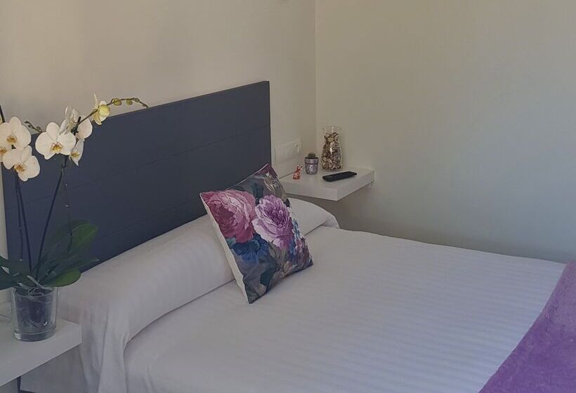 Номер Basic, Malecon