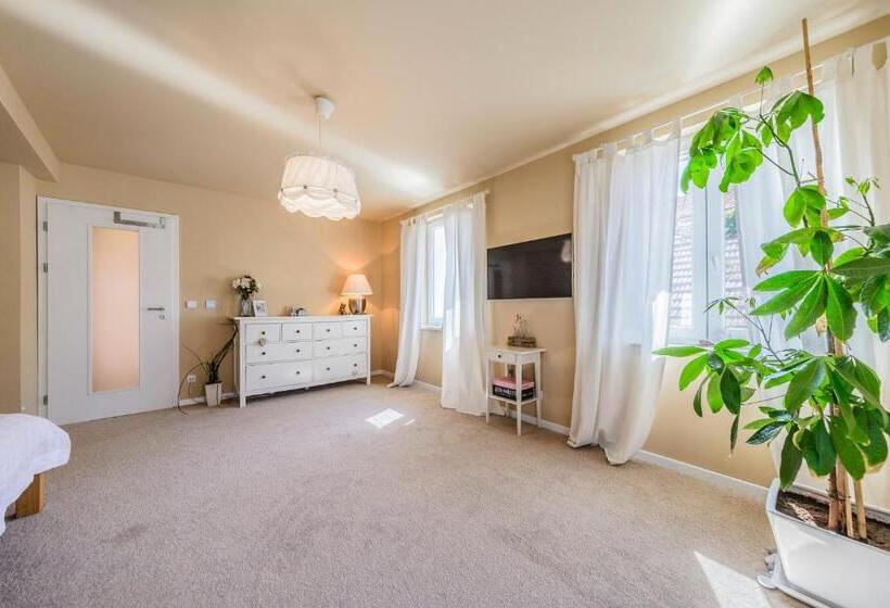 آپارتمان 1 خوابه با تراس, Mikulov Apartmány Magistr