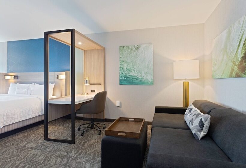 스위트, Springhill Suites By Marriott Ocala