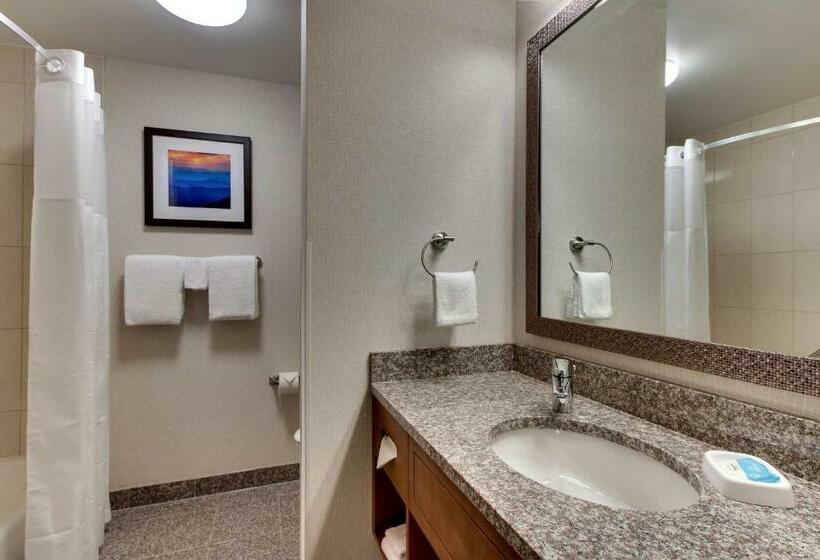 חדר דלוקס עם מיטת קינג, Drury Inn & Suites Knoxville West