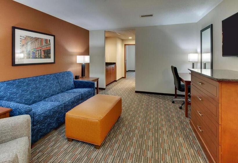 Студио Стандарт Кровать Кинг, Drury Inn & Suites Knoxville West