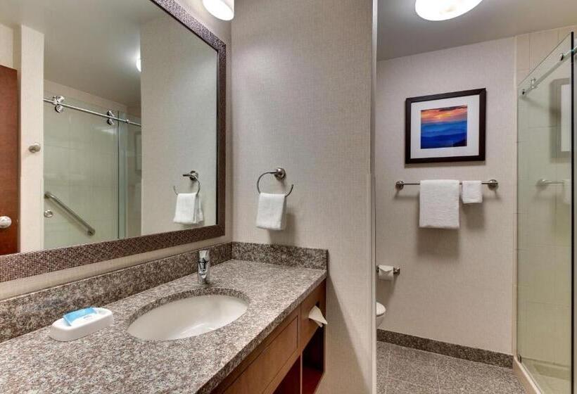 Номер Deluxe Кровать Кинг, Drury Inn & Suites Knoxville West