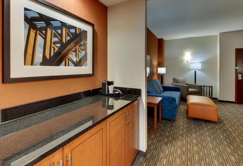 Люкс Адаптированный для Инвалидов, Drury Inn & Suites Knoxville West