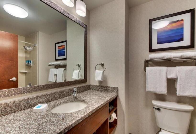 Люкс Superior, Drury Inn & Suites Knoxville West