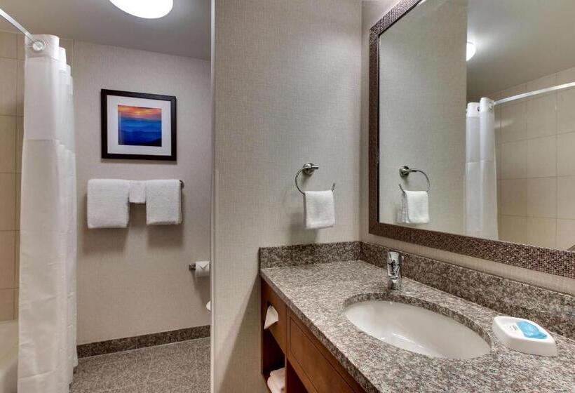 Номер Стандарт, Drury Inn & Suites Knoxville West