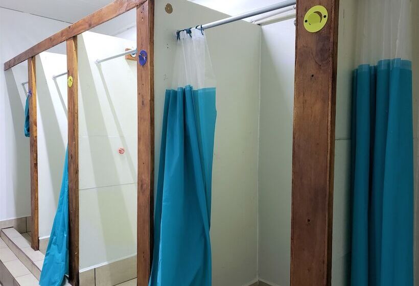 ルームシェアのワンベッド, North Hostel