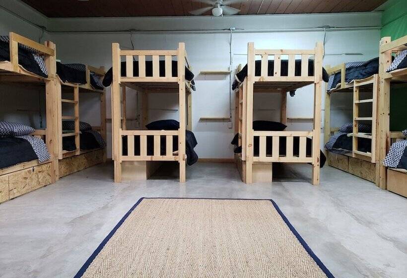 ルームシェアのワンベッド, North Hostel
