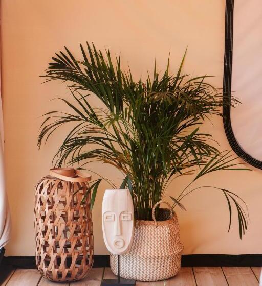 كوخ قياسي, Dreamsea Surf Guest House