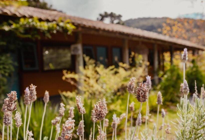 발코니가 있는 스위트, Pousada Jardim Do Buda   Café E Piscina