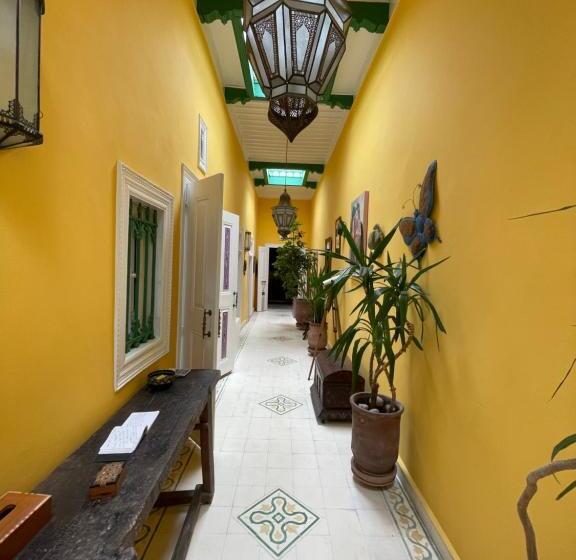 Appartement 1 Chambre avec Terrasse, Riad Sidi Magdoul