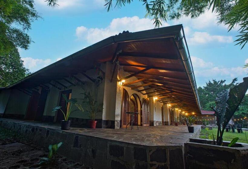 מיטת קינג בסוויטה, Nature Lodge Apu Samay