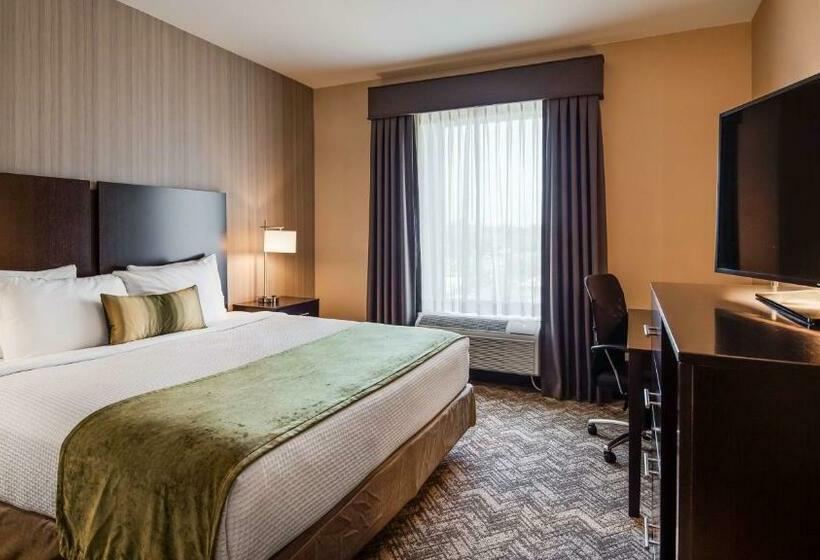 キングサイズベッドのスタンダードルーム, Best Western Plus Philadelphiapennsauken