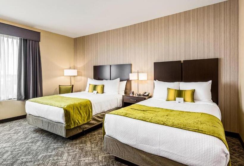 スタンダードルーム, Best Western Plus Philadelphiapennsauken