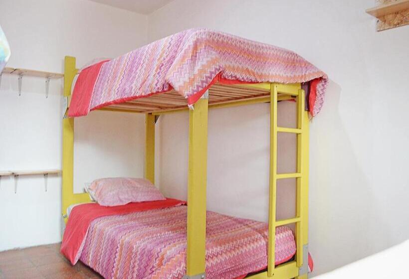 Кровать в Общей Комнате, Alternative Hostels