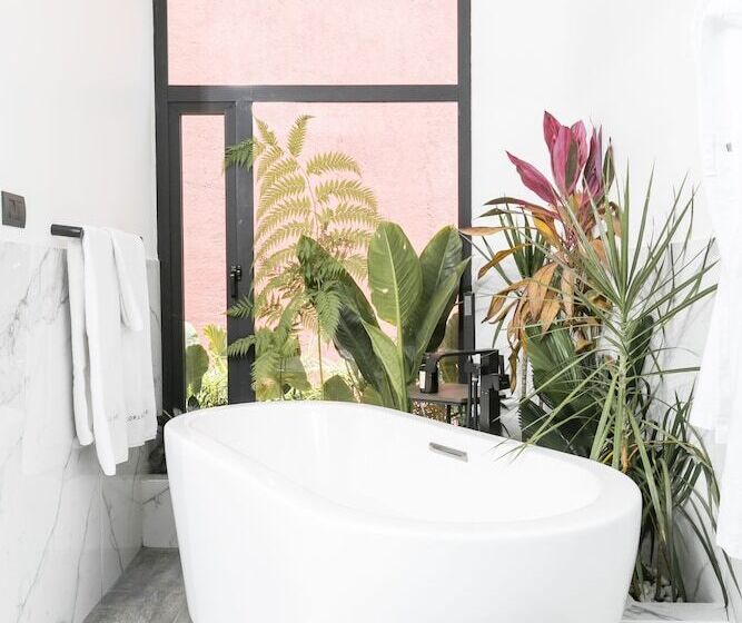 Люкс Superior, Orchid House Polanco