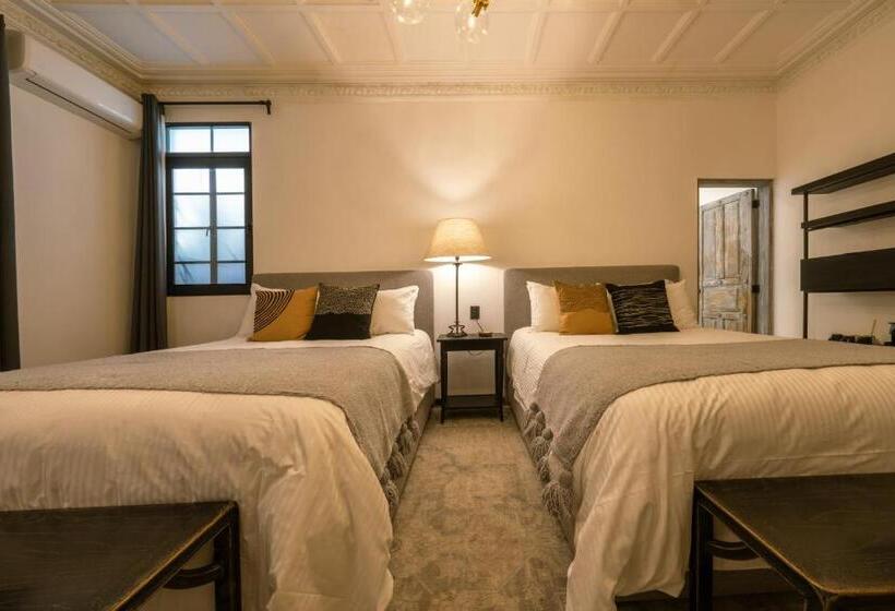 Номер Стандарт, Orchid House Polanco
