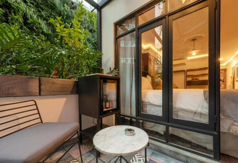 Номер Стандарт, Orchid House Polanco